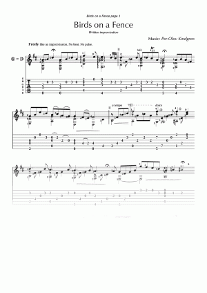Birds on a Fence (sheet music + TABs)